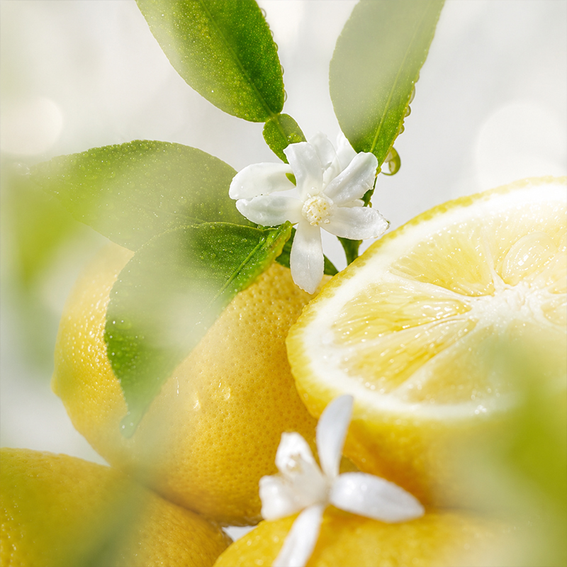 Lemon Fresh